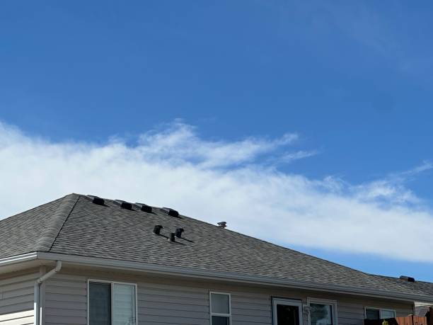 Best Sheet Metal Roofing  in Running Springs, CA